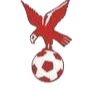 https://img.xinleimijigui.com/img/football/team/4802d26df935b78bb2fcdbbff36e8864.png